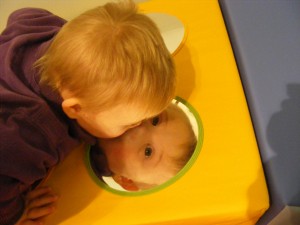 Social and emotional development Social and emotional development